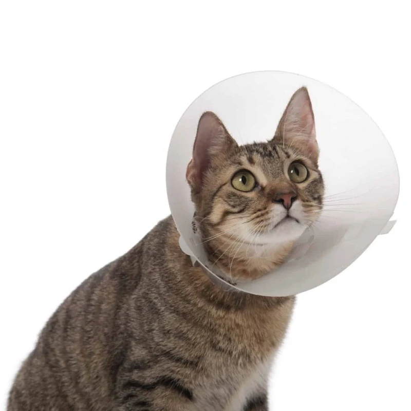 Ochranný límec Classic Collar 12,5cm